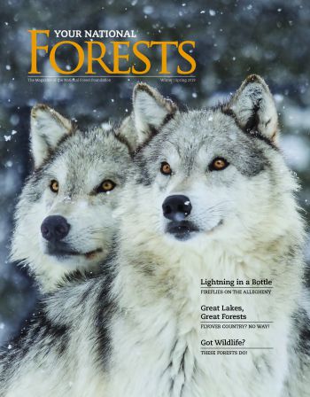 Your National Forests Magazine Winter/Spring 2019 Cover