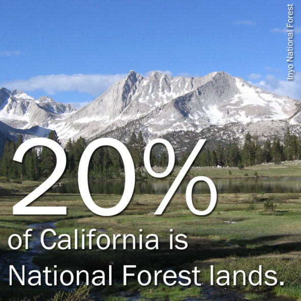 Five Facts You May Not Know About California's National Forests 