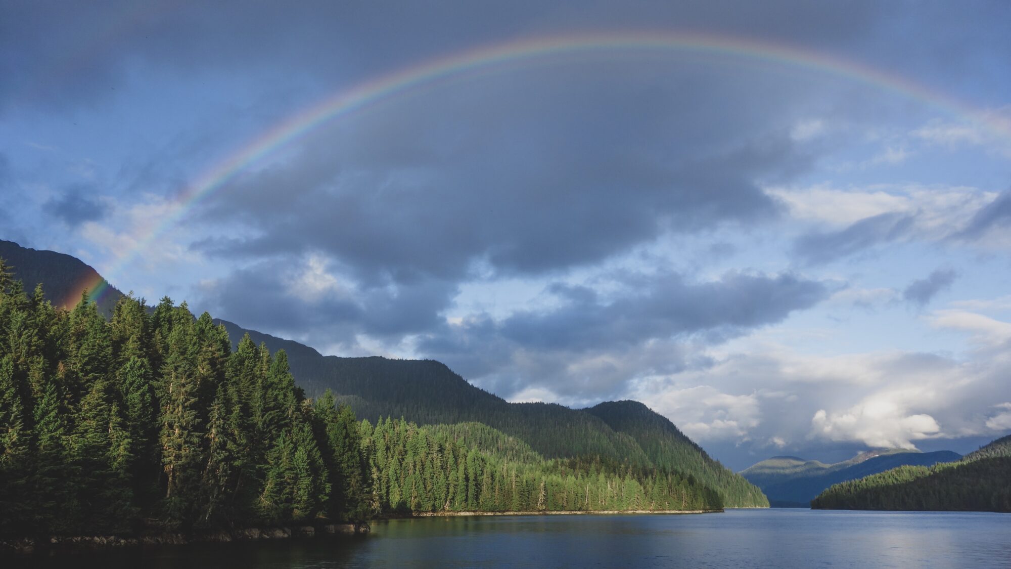 Reforesting The Helena Lewis And Clark National Forest National Forest Foundation