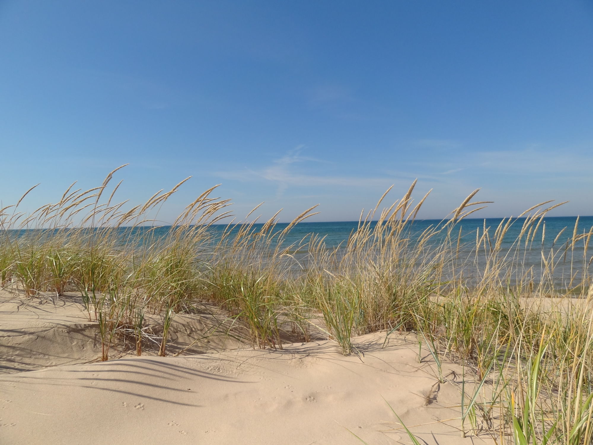 Great Lakes Great Forests National Forest Foundation