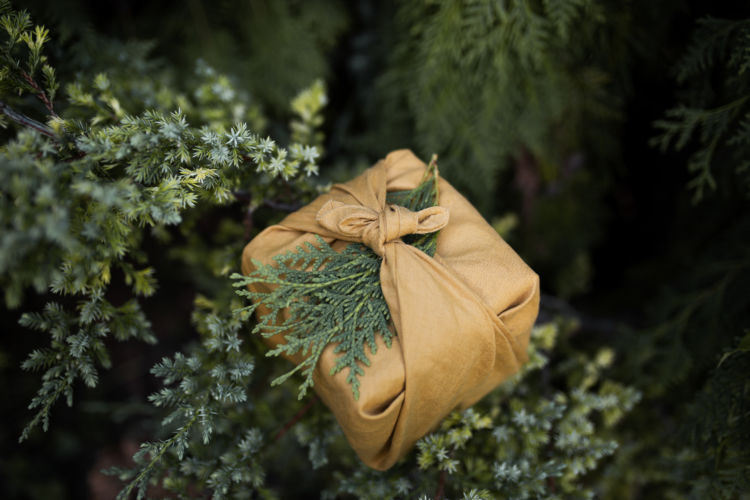 The Ultimate Gift Guide for Forest Lovers pic picture