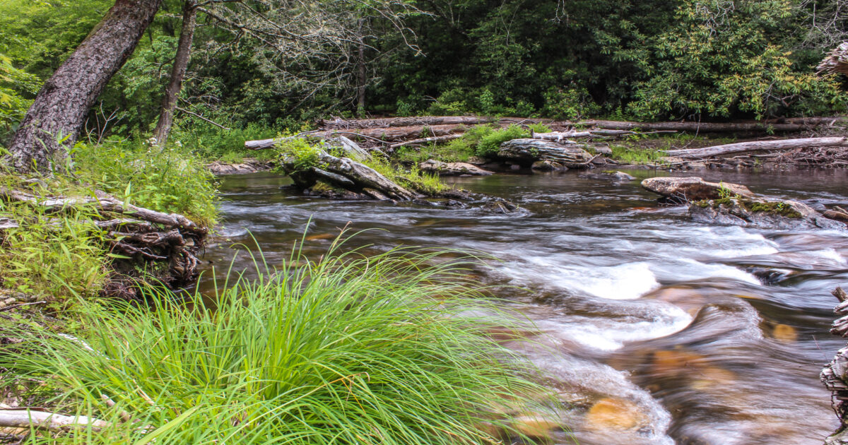 Stakeholders Forum Completes First Phase of Work on Nantahala & Pisgah ...