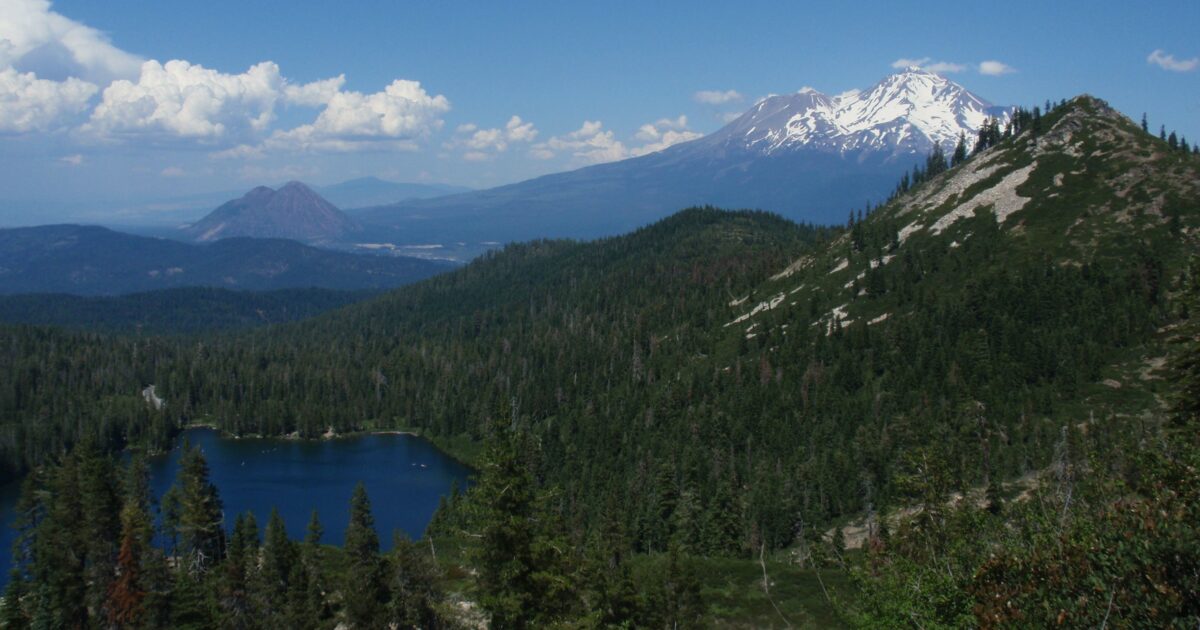 Shasta-Trinity National Forest - National Forest Foundation