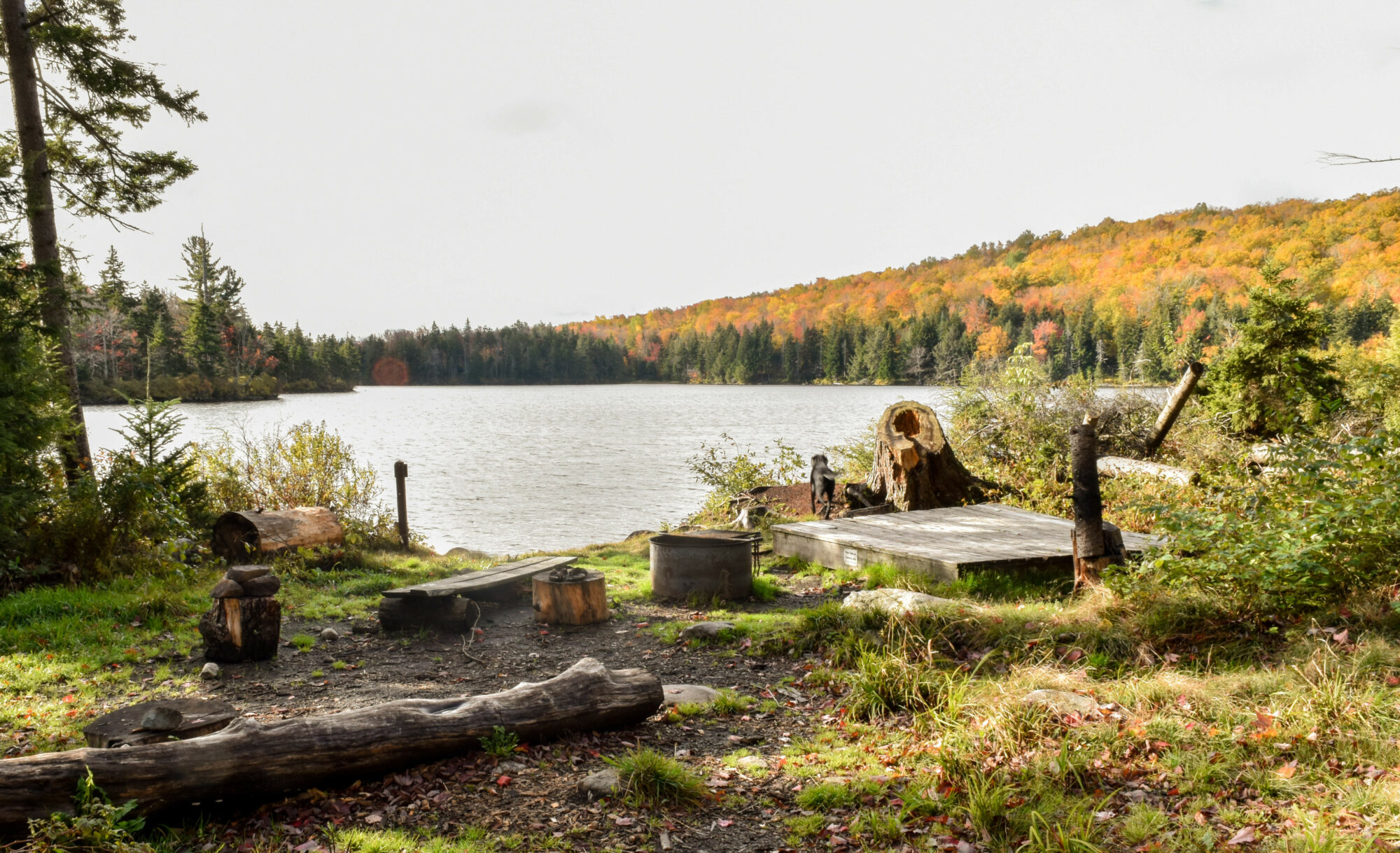 Fall Camping in the Green Mountain National Forest