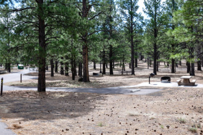 Seven of our Favorite National Forest Campgrounds in New Mexico ...