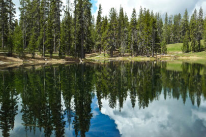 The Ultimate California Public Lands Road Trip - National Forest Foundation