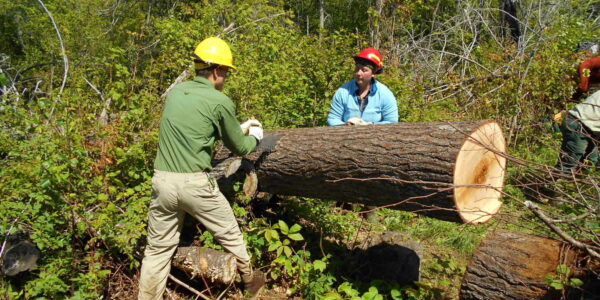 NFF Grant Supports Extensive Work In Boundary Waters - National Forest ...