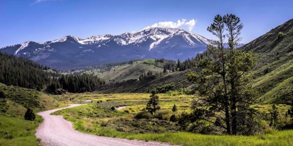 Partners and Volunteers at the Heart of Tincup Creek’s Restoration ...