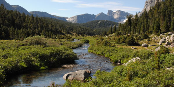 First Time in Shoshone National Forest