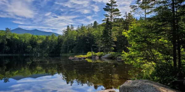 Tuckerman Brewery Adopts Boulder Loop Trail - National Forest Foundation