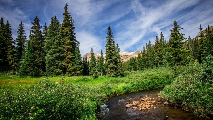 Sixteen National Forests Near National Parks - National Forest Foundation