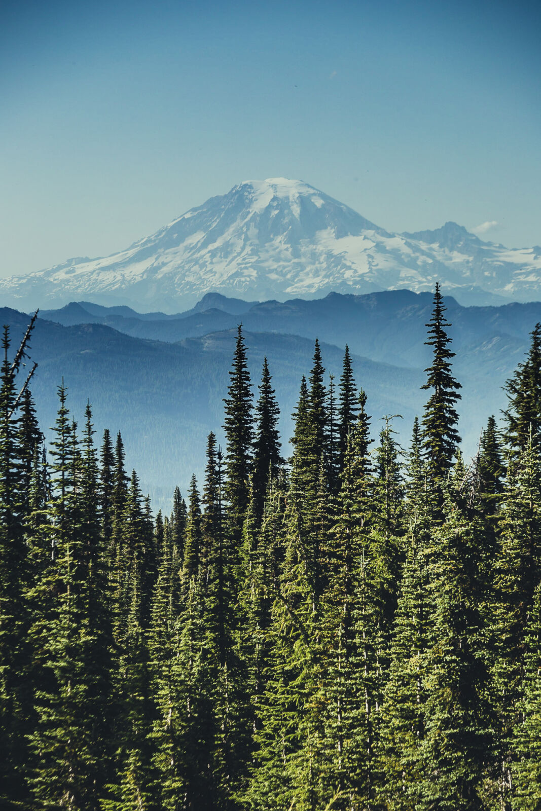 Hiking the Pacific Crest Trail around Mount Adams on the Gifford Pinchot  National Forest - National Forest Foundation