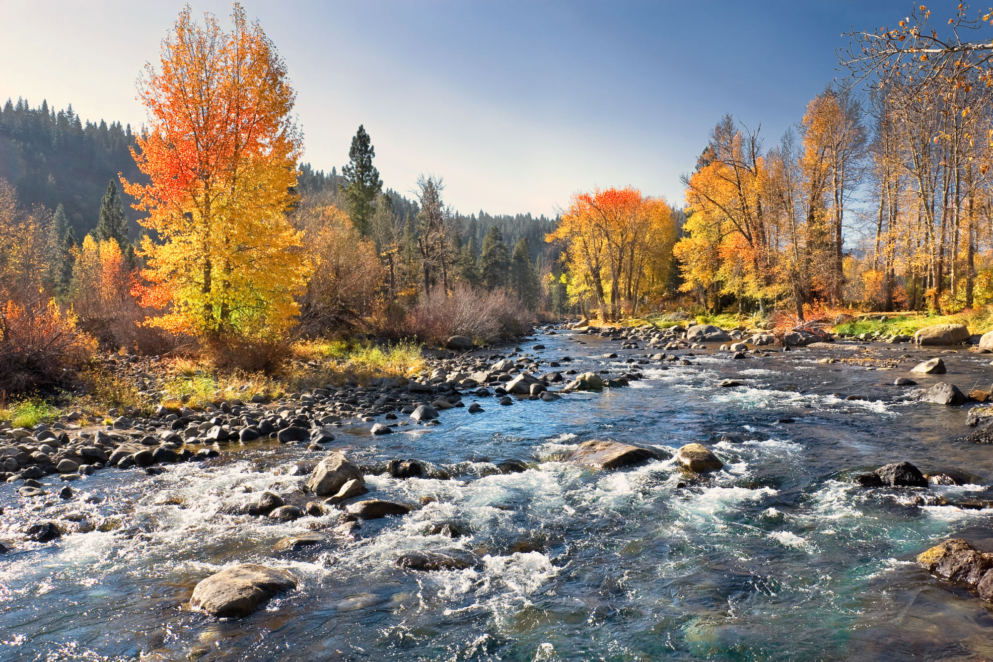 Tahoe National Forest: From Shepherds to Ski Resorts - National Forest ...