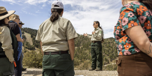 USDA Forest Service and National Forest Foundation launch ...