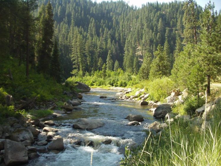 Boise National Forest - National Forest Foundation