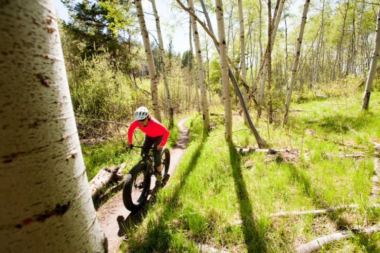 forestry commission mountain biking