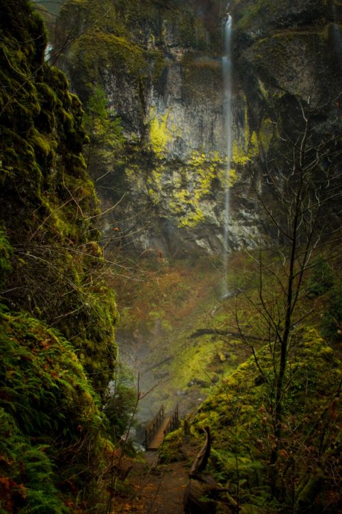 Columbia River Gorge National Scenic Area National Forest Foundation 