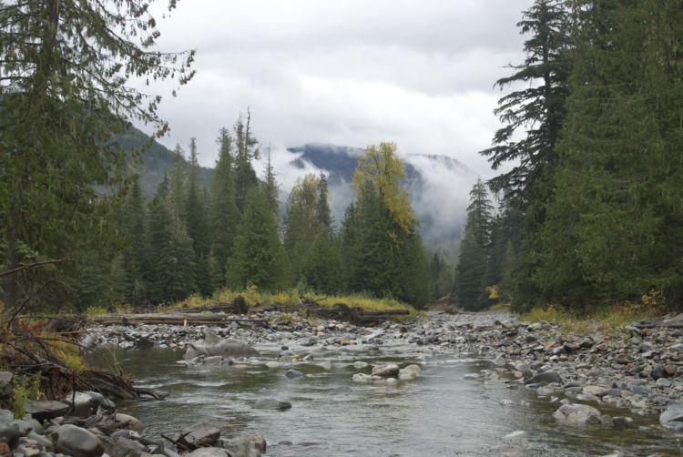 Idaho Panhandle National Forest - National Forest Foundation