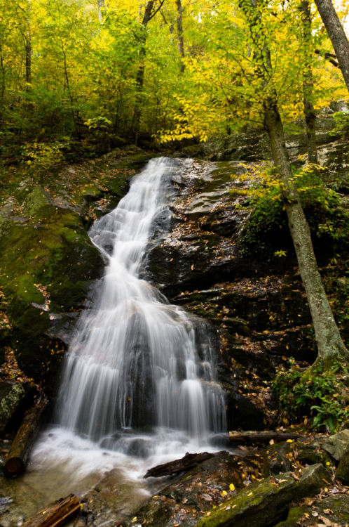 Fifteen National Forest Waterfalls Not To Miss National Forest