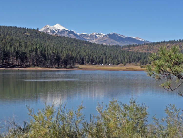 Manti-La Sal National Forest - National Forest Foundation