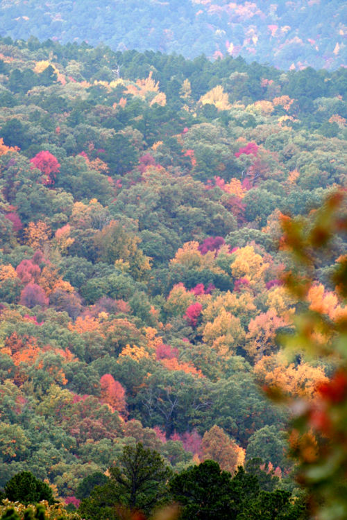 Eight Stunning Fall Drives through a National Forest - National Forest ...