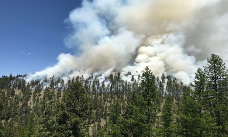 Why the NFF is working on Wildfire Adaptation in Our Hometown of ...